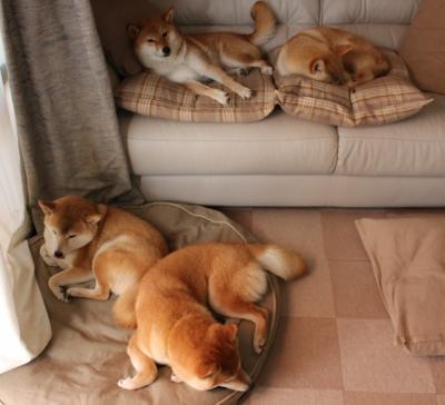 xk体育-亚冠联赛中国足球惨败 战术布置受质疑，亚冠联赛中国足球惨败 战术布置受质疑吗