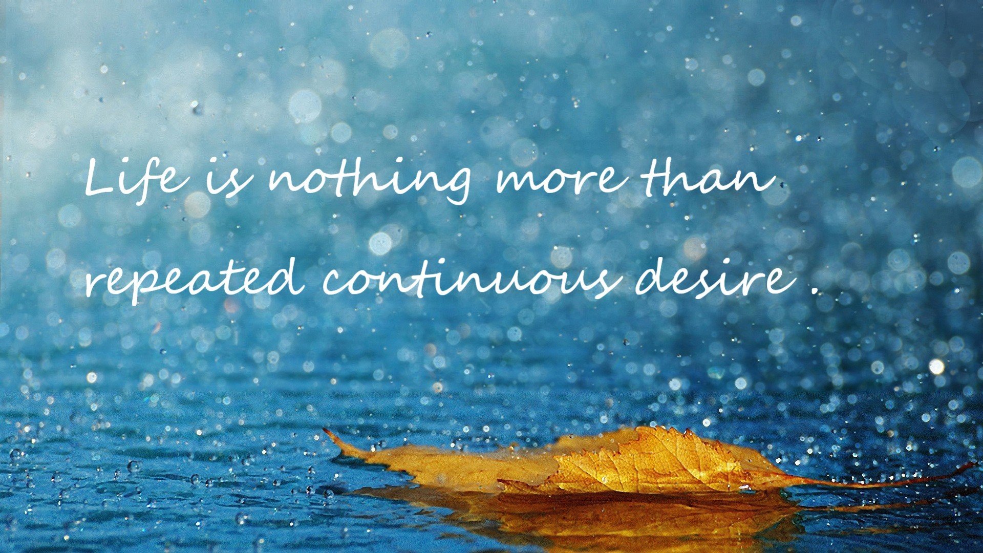 体育新闻中心发布体育主题融媒体叙事方式研究报告,全体育媒体