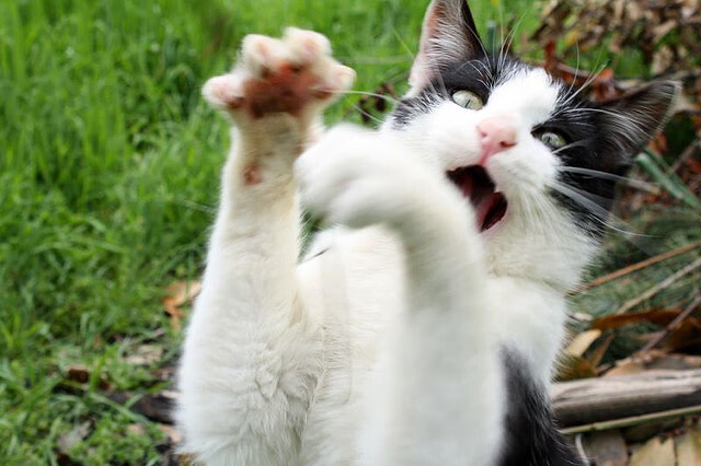 青少年滑雪挑战营训练体系日趋成熟，全国青少年滑雪挑战赛