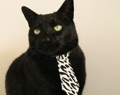 青训体系专业化程度低，体育青训体系