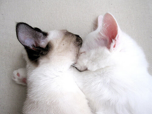 星空体育入口官网-国际邀请赛落幕，黑马国家赢得尊重与认可，国际邀请赛互动指南预测