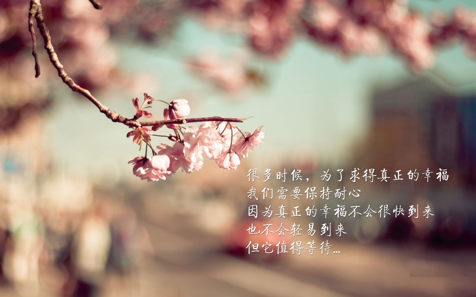 xk体育-奇库诺娃决赛中展现强大心理素质，奇伊vs库洛艾